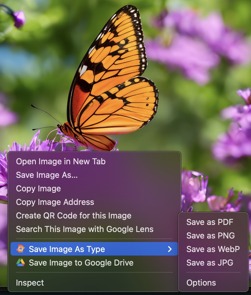 Save Image As Type Chrome Context Menu Submenu